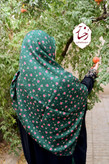 سروین سبز