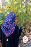 سروین سورمه ای