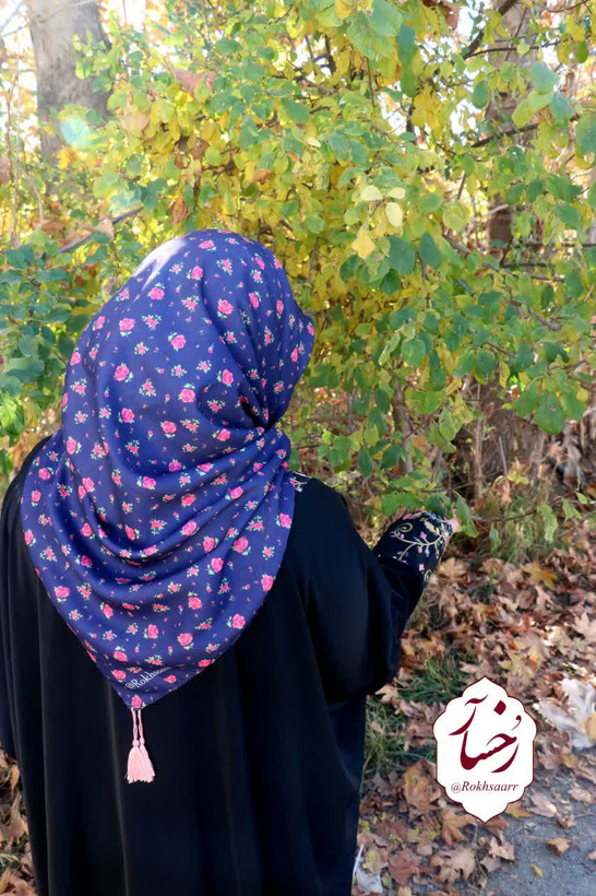 سروین سورمه ای